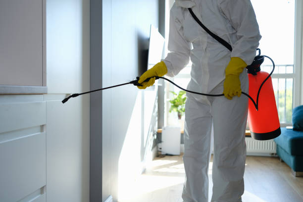 Best Residential Mold Remediation in Baton Rouge, LA